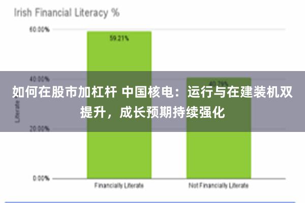 如何在股市加杠杆 中国核电：运行与在建装机双提升，成长预期持续强化