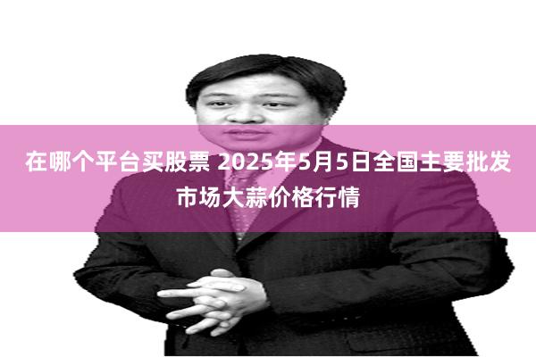 在哪个平台买股票 2025年5月5日全国主要批发市场大蒜价格行情