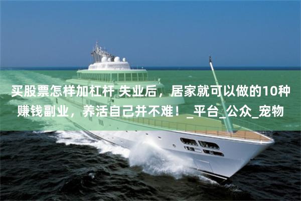 买股票怎样加杠杆 失业后，居家就可以做的10种赚钱副业，养活自己并不难！_平台_公众_宠物