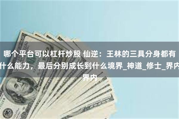 哪个平台可以杠杆炒股 仙逆：王林的三具分身都有什么能力，最后分别成长到什么境界_神道_修士_界内