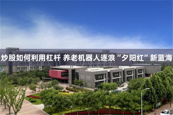 炒股如何利用杠杆 养老机器人逐浪“夕阳红”新蓝海