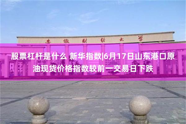 股票杠杆是什么 新华指数|6月17日山东港口原油现货价格指数较前一交易日下跌