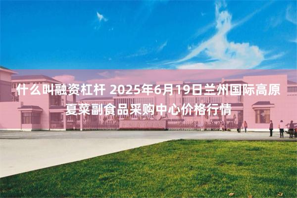 什么叫融资杠杆 2025年6月19日兰州国际高原夏菜副食品采购中心价格行情