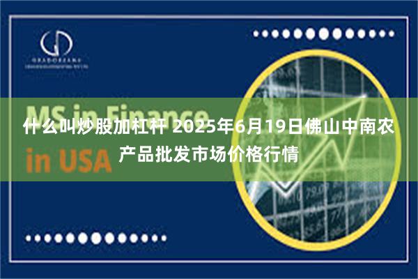 什么叫炒股加杠杆 2025年6月19日佛山中南农产品批发市场价格行情