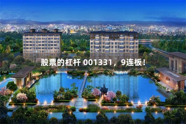 股票的杠杆 001331，9连板！